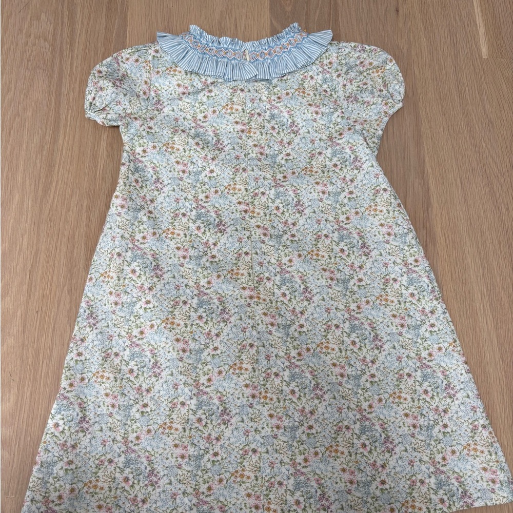 Edgehill Collection Floral Dress with Blue Ruffled Collar, 6X